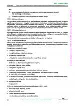 10. PDF oldal